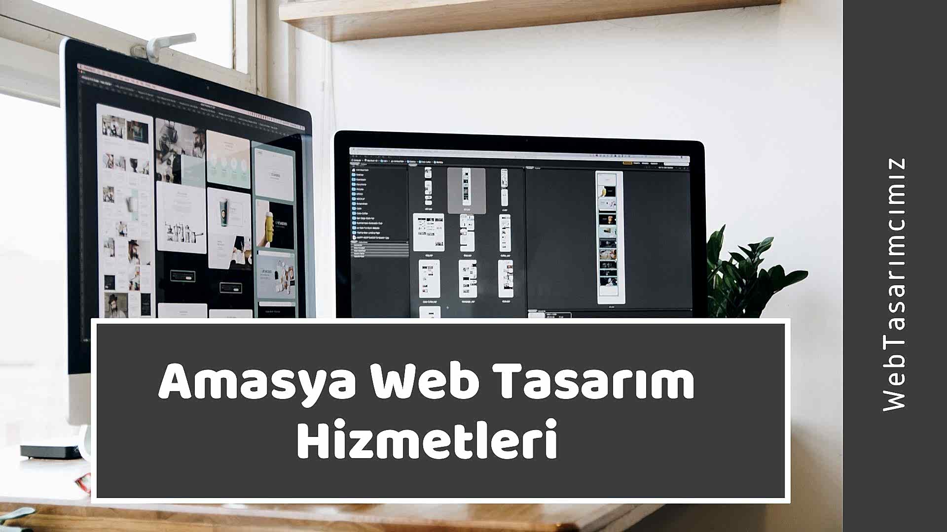 Amasya Web Tasarım Hizmetleri