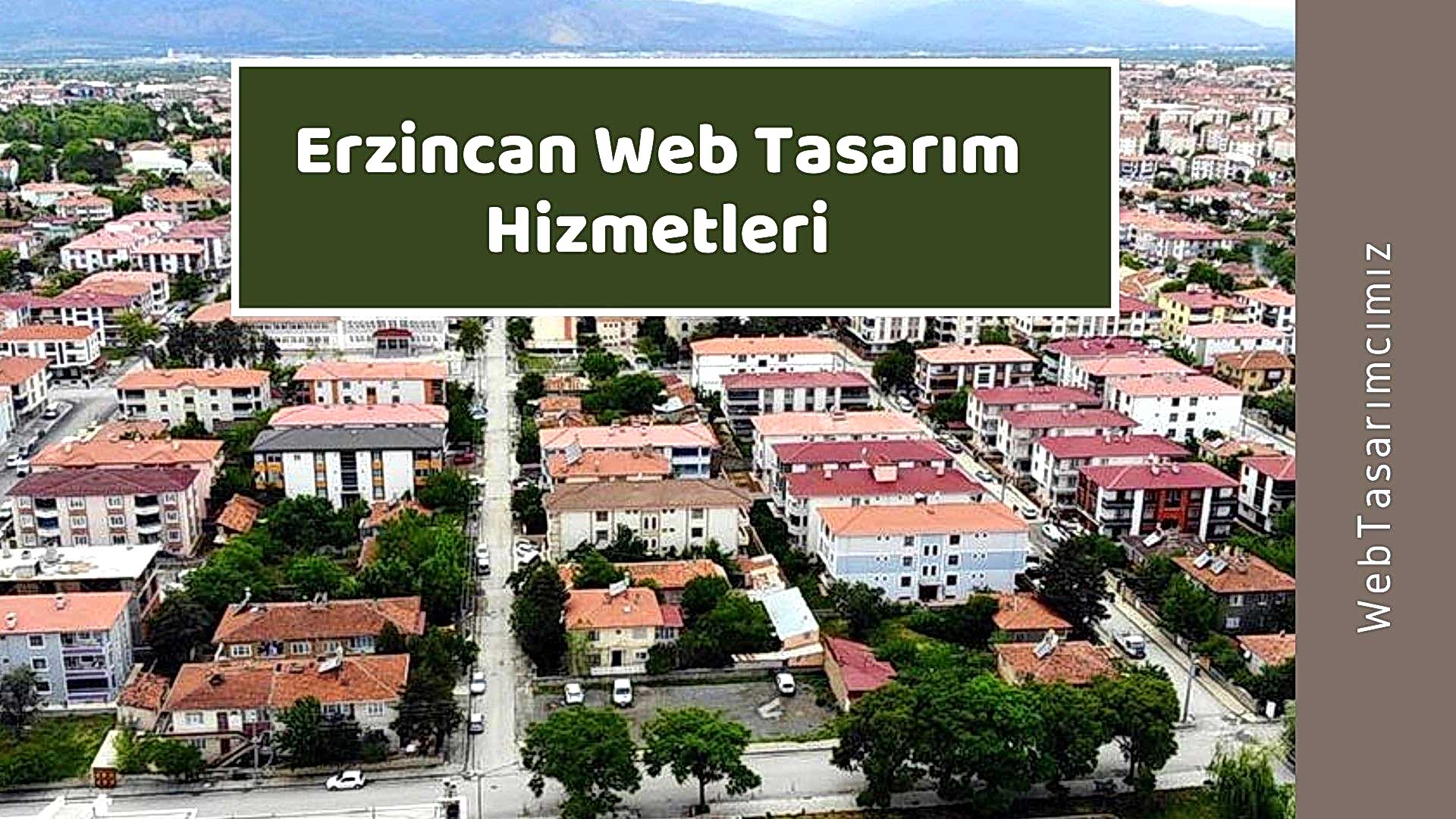 Erzincan Web Tasarım Hizmetleri