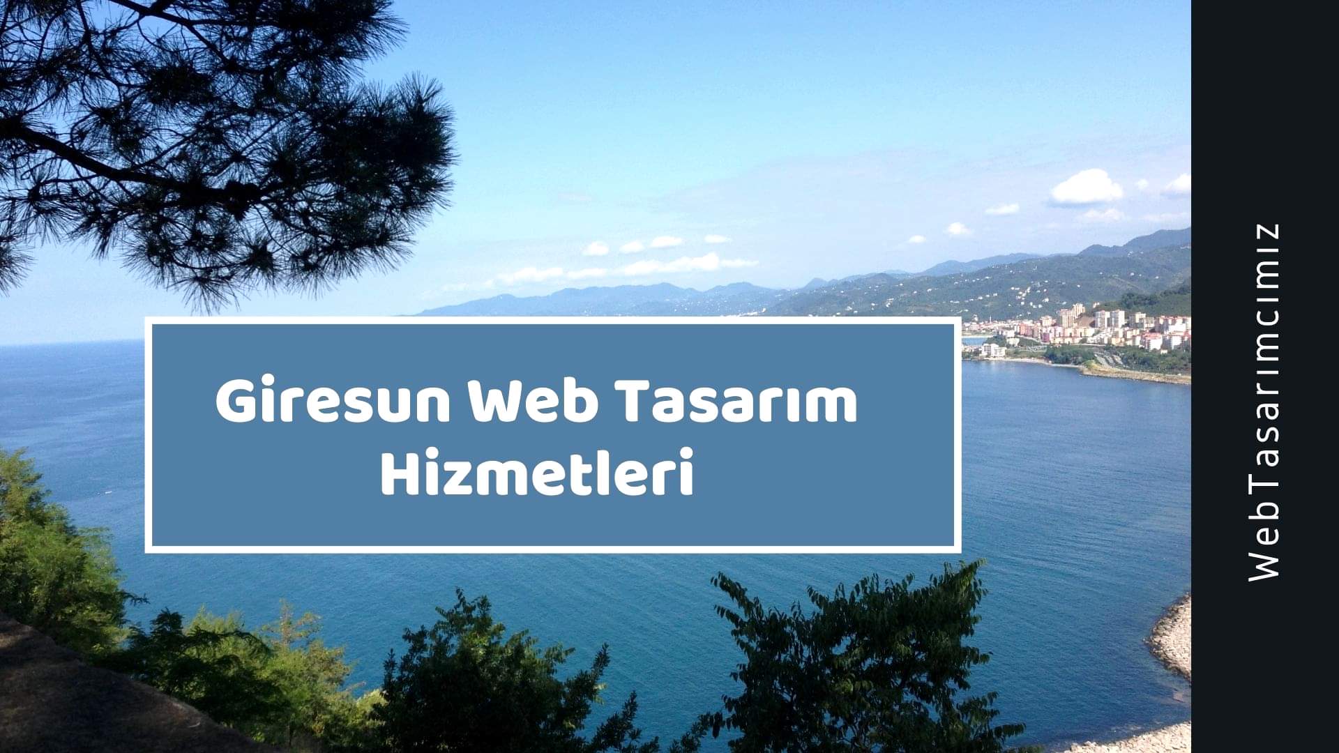 Giresun Web Tasarım Hizmetleri